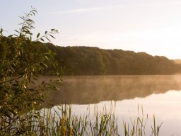 IMGP6511-Morgen-over-Hald-Soe